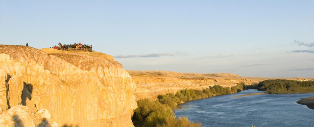 自动攻击网站工具下载